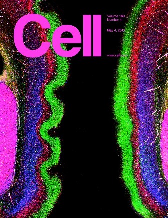 Cell cover